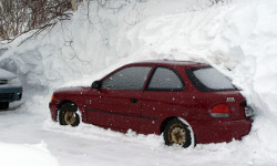 呼死你软件短信